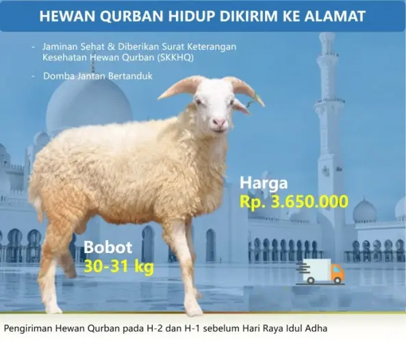 Kurban - Qurban Domba  kramatwatu